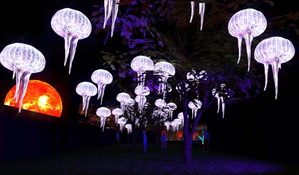 Llega el 'Festival Brilla' a Bogotá: un recorrido de luces perfecto para la temporada navideña La capital colombiana se prepara para la llegada de la quinta edición del 'Festival Brilla', un evento que este año promete sorprender con su propuesta visual y temática.