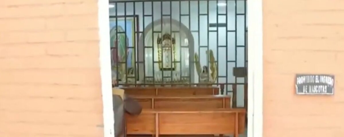 En video quedó captado sujeto que robaba ofrendas en iglesias de Kennedy 1 En video quedó captado sujeto que robaba ofrendas en iglesias de Kennedy En Kennedy, un hombre fue grabado mientras "pescaba" con un gancho metálico las ofrendas de la iglesia Santo Tomás de Moro, en el barrio Timiza. Al parecer, este personaje ya era conocido por su técnica en otros templos de la zona, y los feligreses ahora exigen mayor seguridad para evitar más robos en sus lugares de oración.