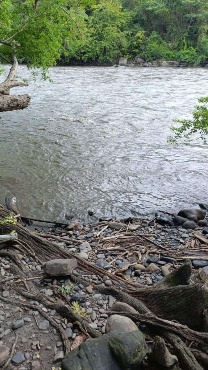 Hombre murió al ser arrastrado por un río cuando intentaba salvar a sus vacas 1 Hombre murió al ser arrastrado por un río cuando intentaba salvar a sus vacas De luto se encuentran hoy los habitantes del municipio de Caparrapí (Cundinamarca) al enterarse de la desafortunada muerte de don Celedonio Gantivar, de 68 años, quien fue arrastrado por la fuerte corriente de un río del municipio.