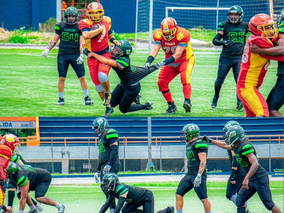 Super Bowl a la colombiana: Pumas de Bogotá irá por título nacional de fútbol americano En el Parque Recreodeportivo El Salitre se disputará este sábado la gran final del Torneo Nacional de Fútbol Americano entre los Pumas de Bogotá y los Lobos de Medellín.