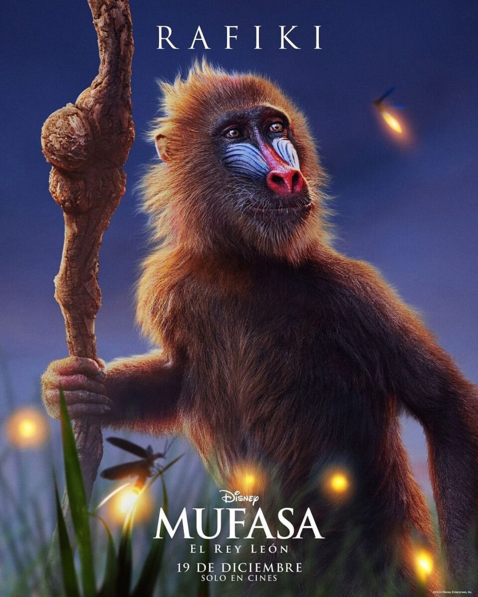 'Mufasa: El Rey León' llega a cines este diciembre 1 'Mufasa: El Rey León' llega a cines este diciembre La película, que se centra en la vida temprana de Mufasa, revela las raíces y el viaje que lo llevaron a convertirse en el rey legendario que todos conocemos.