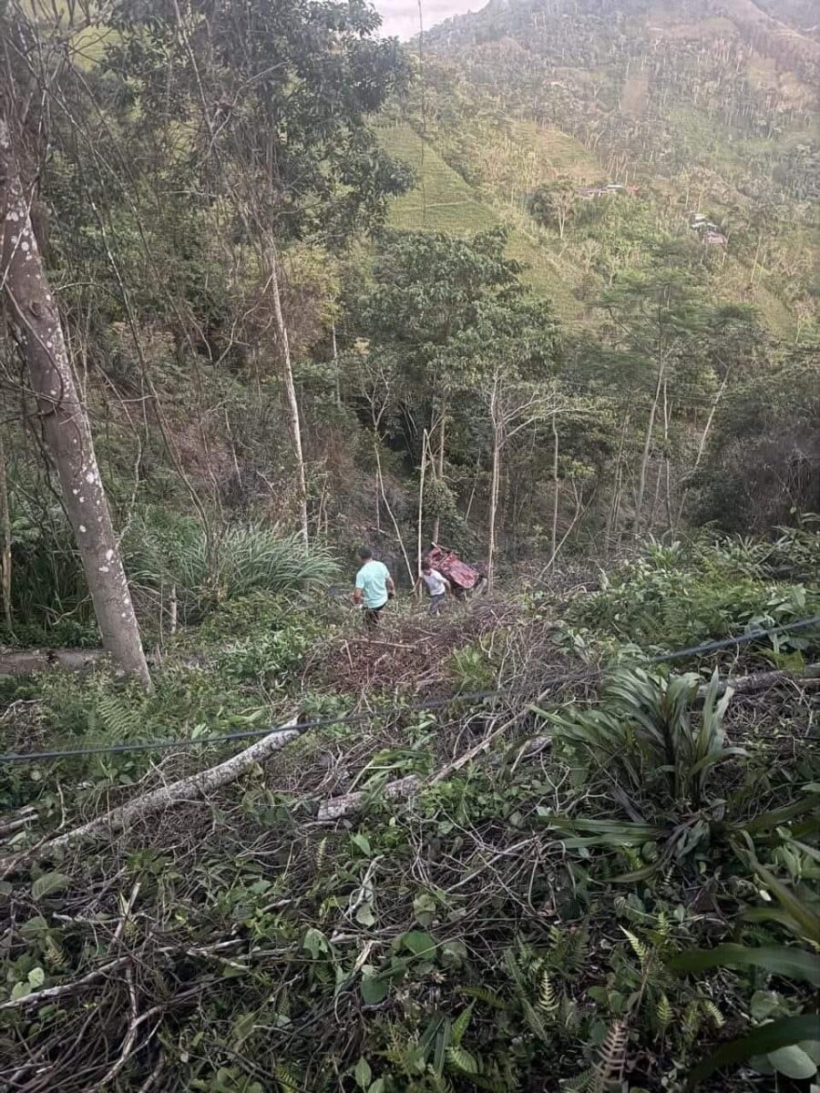 Accidente en La Palma deja un muerto y 4 heridos Un trágico accidente vial se registró en una carretera del municipio de La Palma (Cundinamarca). El terrible hecho dejó a una persona muerta y a otras cuatro lesionadas.