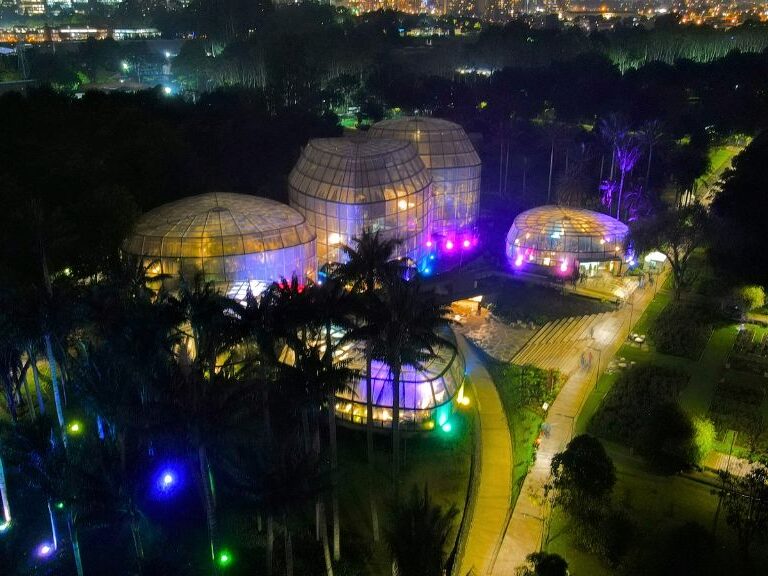 El Jardín Botánico inicia la temporada navideña con funciones de cine al aire libre 1 El Jardín Botánico inicia la temporada navideña con funciones de cine al aire libre El Jardín Botánico de Bogotá ha dado inicio a la temporada navideña con una oferta de actividades para toda la familia, destacando su compromiso con la sostenibilidad y la preservación ambiental.