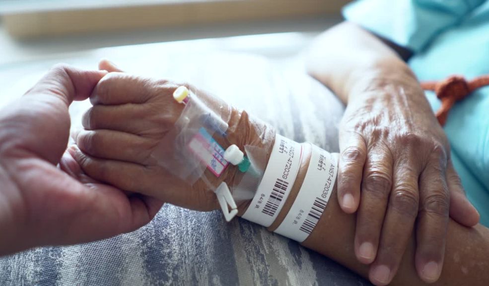 Perra Pitbull atacó a una niña y una abuelita en Ciudad Bolívar Debido al ataque de la perra, a la niña deben hacerle una cirugía en la pierna para reconstruírsela.