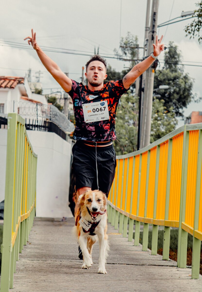 carrera de mascotas en navidad