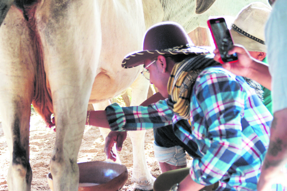 Arauca, la ciudad de los amaneceres mágicos Aquí le contamos todo lo que puede encontrar y los planes que puede disfrutar en Arauca en solo 4 días.