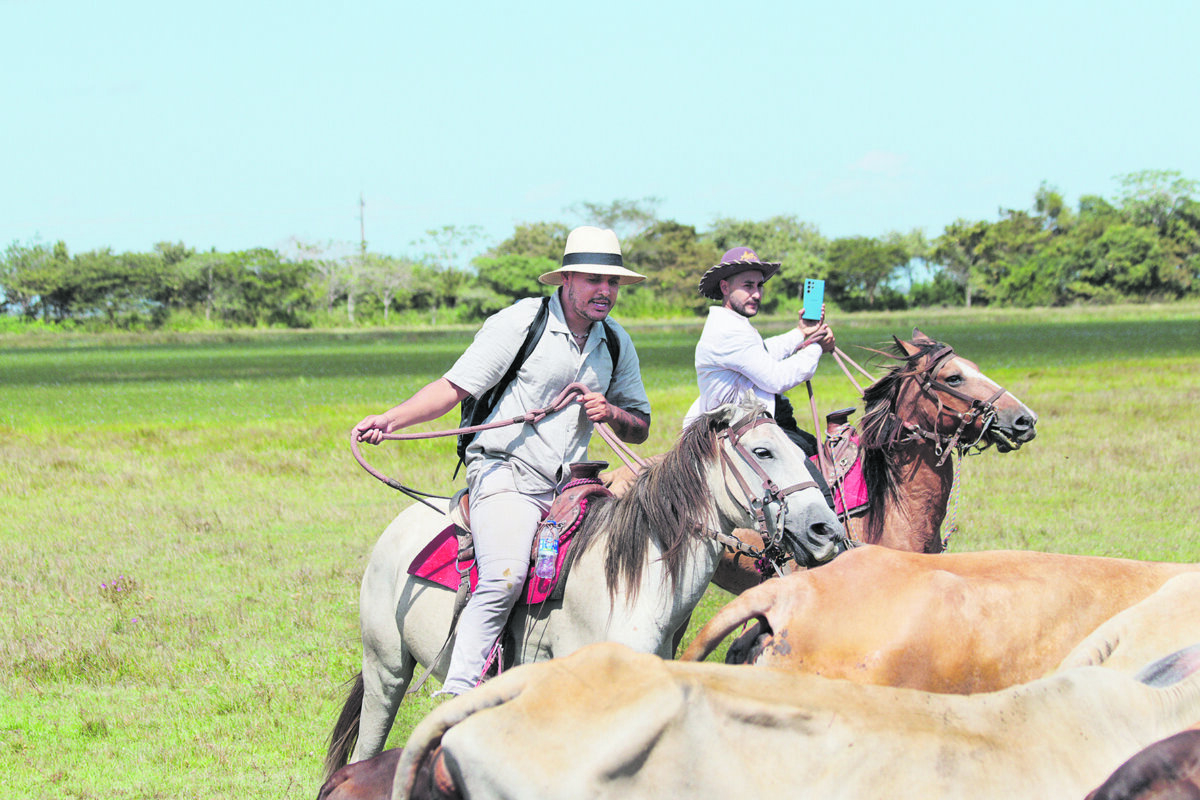 Arauca, la ciudad de los amaneceres mágicos Aquí le contamos todo lo que puede encontrar y los planes que puede disfrutar en Arauca en solo 4 días.