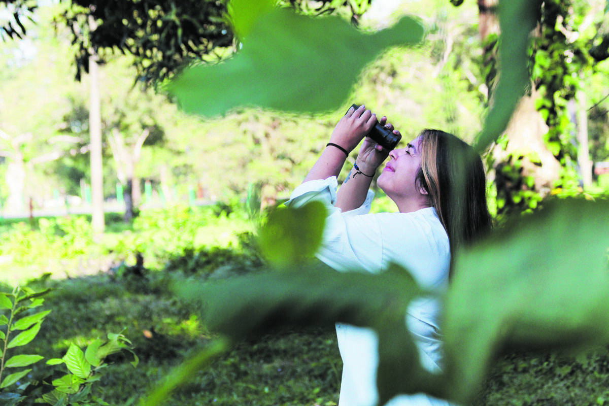 Arauca, la ciudad de los amaneceres mágicos Aquí le contamos todo lo que puede encontrar y los planes que puede disfrutar en Arauca en solo 4 días.