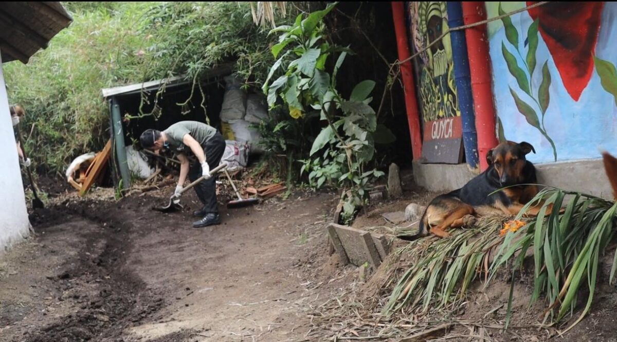 ¿Tiene comparendos cívicos? Así puede saldarlos con actividades pedagógicas Así es como puede saldar su deuda con actividades comunitarias como limpieza de humedales, restauración de parques y más.