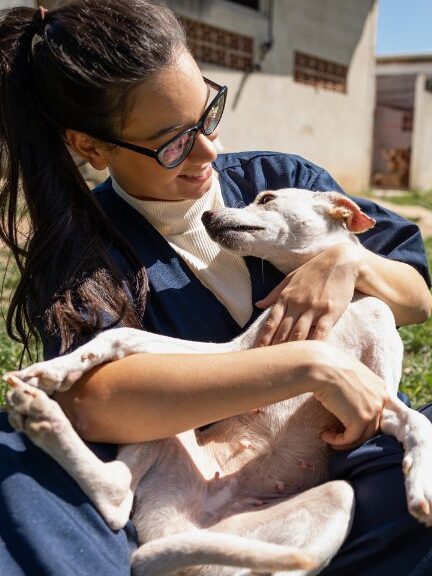 Bogotá tiene nueva línea telefónica para denunciar casos de maltrato animal