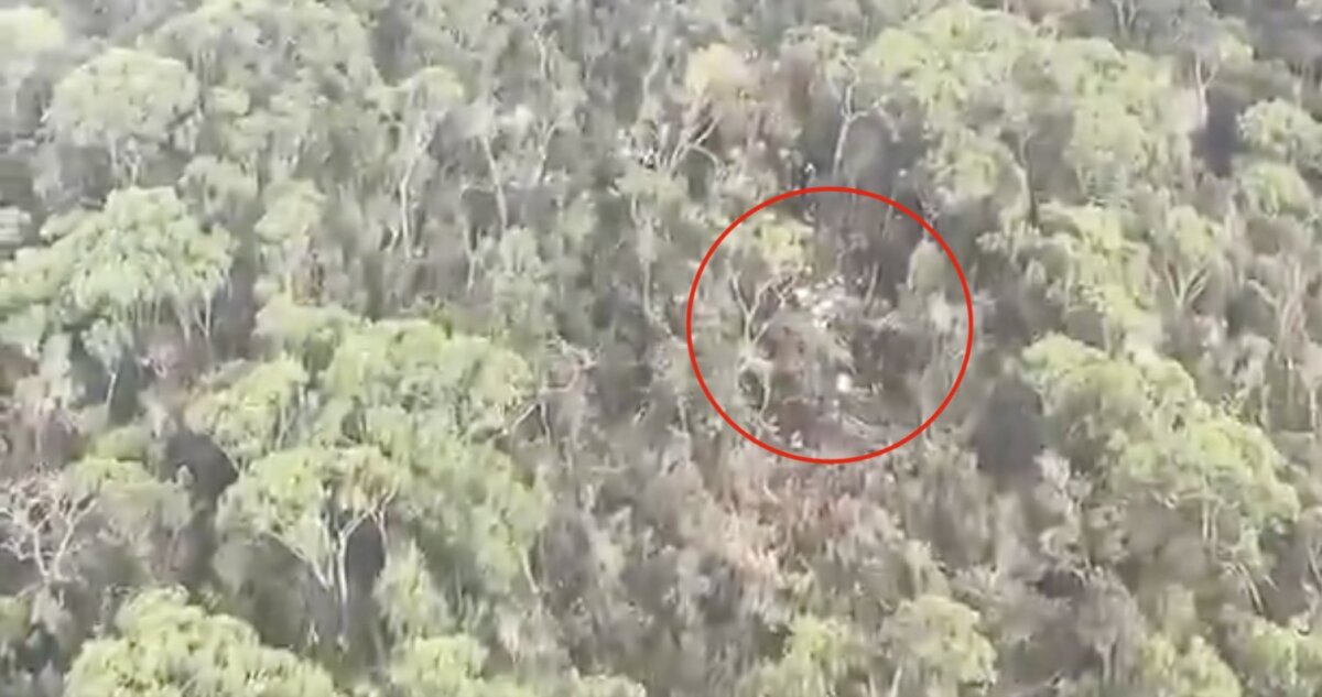 Encuentran restos de la aeronave que desapareció en Antioquia Los restos pertenecerían a la avioneta que desapareció la tarde de este miércoles en Antioquia. Esto se sabe.