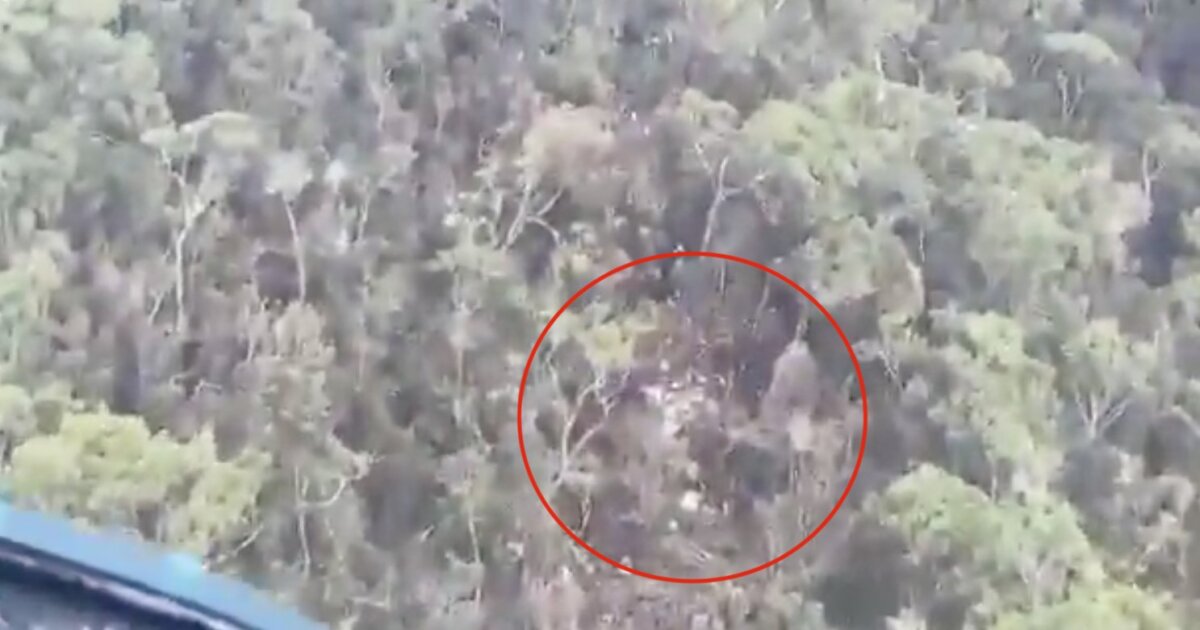 Encuentran restos de la aeronave que desapareció en Antioquia Los restos pertenecerían a la avioneta que desapareció la tarde de este miércoles en Antioquia. Esto se sabe.