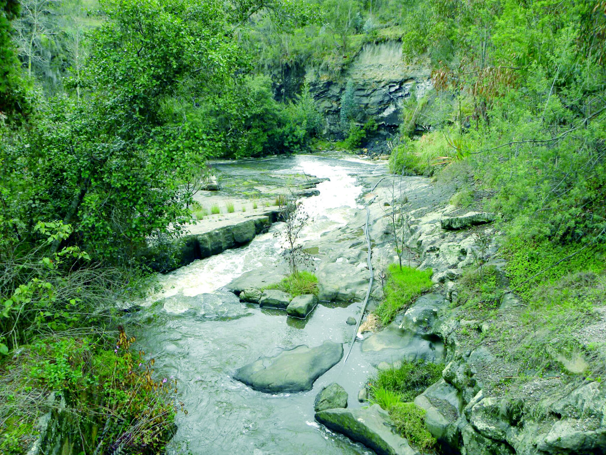 Jorge estaba desaparecido y fue hallado sin vida en una cascada 1 Jorge estaba desaparecido y fue hallado sin vida en una cascada Jorge Dayro fue reportado como desaparecido 19 horas antes de ser hallado sin vida en Ubaté, Cundinamarca.