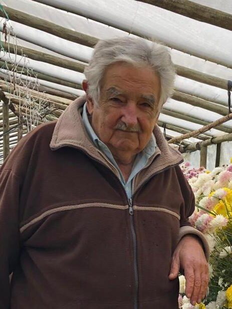 Pepe Mujica confirmó su grave estado de salud: el cáncer se extendió a su hígado En sus palabras, el cáncer "colonizó" su hígado, lo que marcó el punto en el que decidió dejar de someterse a más procedimientos médicos.