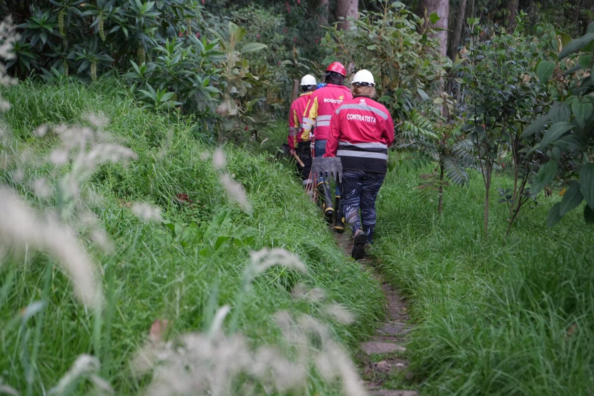 Alcalde Galán se pronuncia sobre incendio en San Cristóbal: "Está 100% controlado" El mandatario añadió que, de manera preliminar, se estima que el área afectada es de alrededor de 10.49 hectáreas.