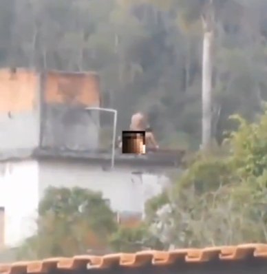 Graban a pareja teniendo intimidad en pleno tiroteo El video ha causado revuelo en redes.