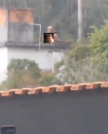 Graban a pareja teniendo intimidad en pleno tiroteo El video ha causado revuelo en redes.