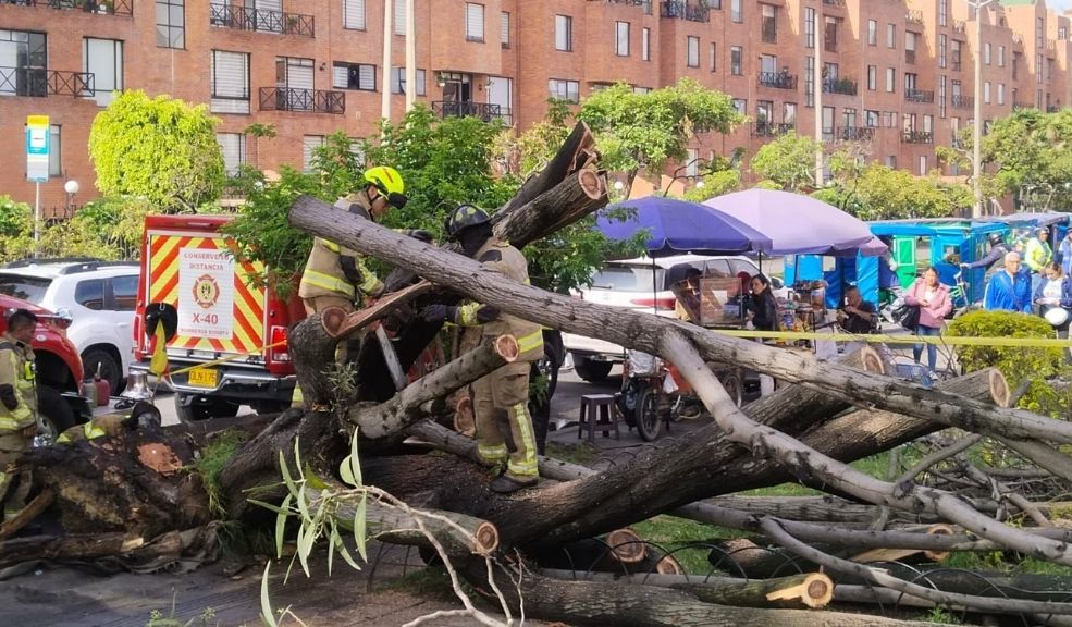 Emergencia en el norte de Bogotá: dos personas heridas, tras la caída de un árbol En el barrio Mazurén, al norte de Bogotá, la caída de un árbol generó una emergencia. Bomberos dan reporte.