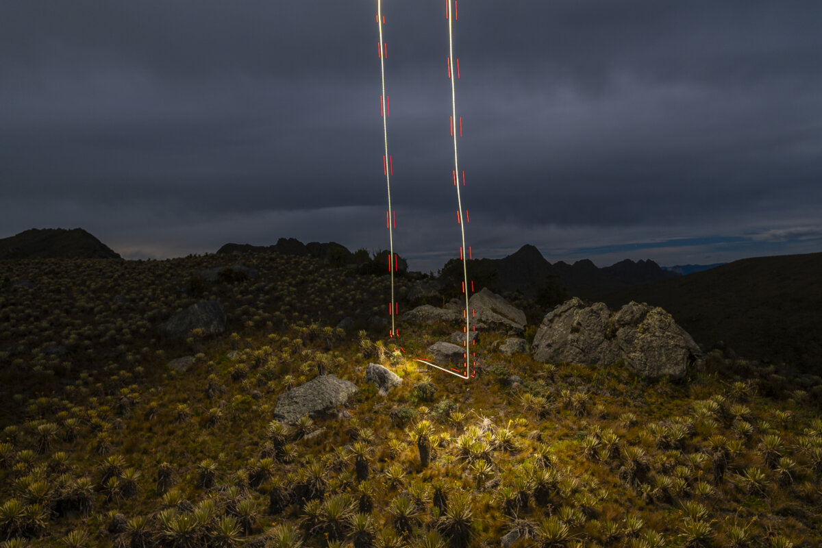 Kevin Molano, el fotógrafo colombiano que brilló en los Sony World Photography Awards 2025 1 Kevin Molano, el fotógrafo colombiano que brilló en los Sony World Photography Awards 2025 Este premio, considerado el “Oscar de la fotografía” en Latinoamérica, destaca a los mejores talentos de la región y Kevin es uno de ellos.