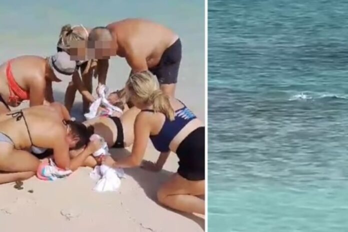 Tragedia en playa: Mujer pierde las manos al intentar tomarse selfie con un tiburón Una turista canadiense sufrió una terrible mutilación tras acercarse demasiado a un tiburón de 1,80 metros para tomar una foto. El ataque ocurrió en las Islas Turcas y Caico, donde la mujer ignoró advertencias y terminó perdiendo ambas manos.
