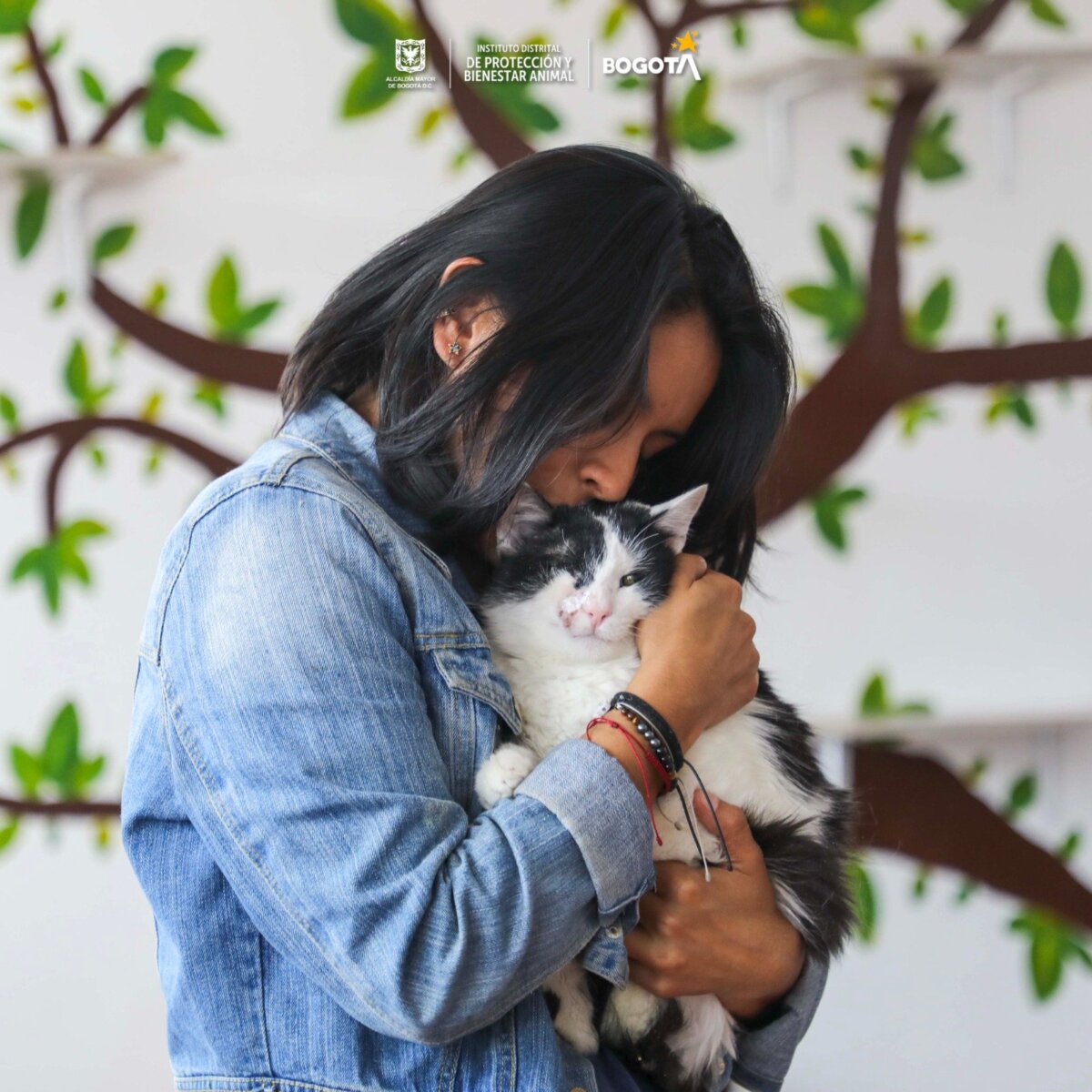 Gran jornada de adopción este fin de semana en Bogotá: todo lo que debe saber 1 Gran jornada de adopción este fin de semana en Bogotá: todo lo que debe saber Requisitos para adoptar una mascota en Bogotá.