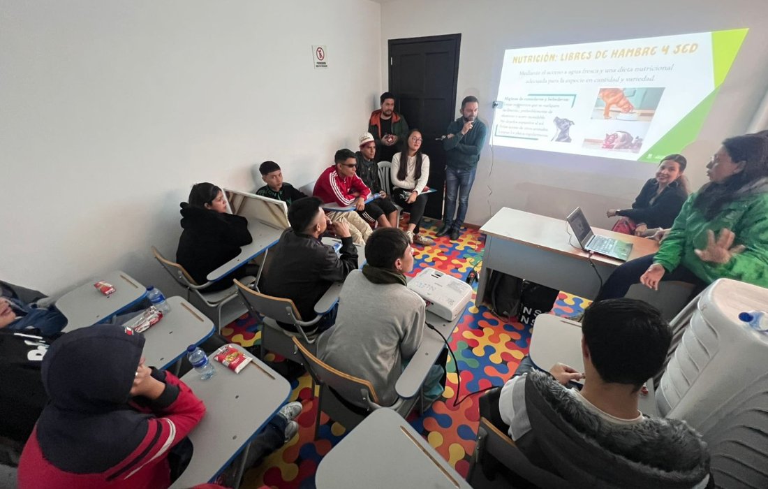 Lanzan nuevo proyecto de protección animal con ayuda de jóvenes del Sistema de Responsabilidad Penal