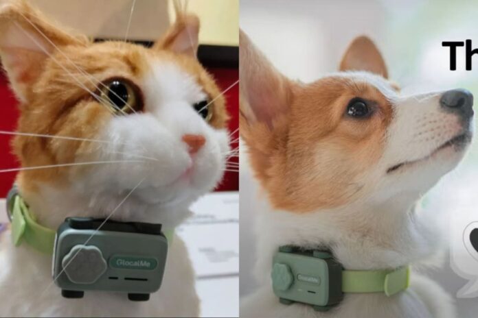 El primer smartphone para perros y gatos que permite hablar con su mascota El PetPhone, el primer smartphone para perros y gatos, permite a los dueños hablar con sus mascotas y rastrear su ubicación en tiempo real mediante IA.