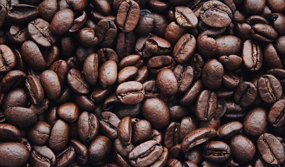 Cafetería colombiana se destaca entre las mejores del mundo y pocos la conocen 3 Cafetería colombiana se destaca entre las mejores del mundo y pocos la conocen Cafetería colombiana se destaca entre las mejores del mundo y pocos la conocen