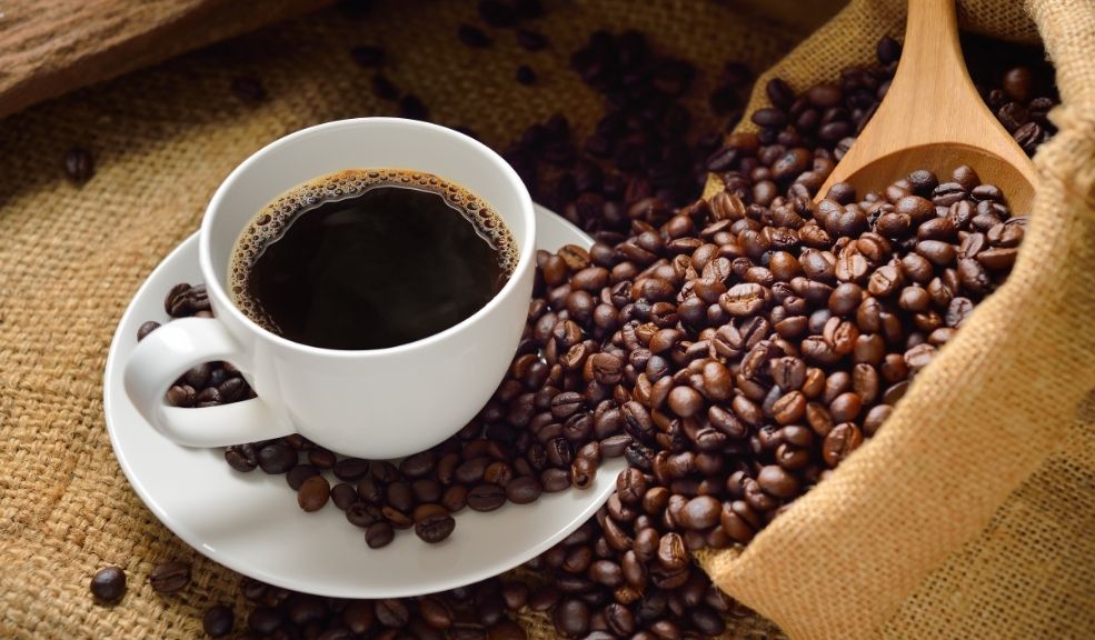 Cafetería colombiana se destaca entre las mejores del mundo y pocos la conocen 1 Cafetería
