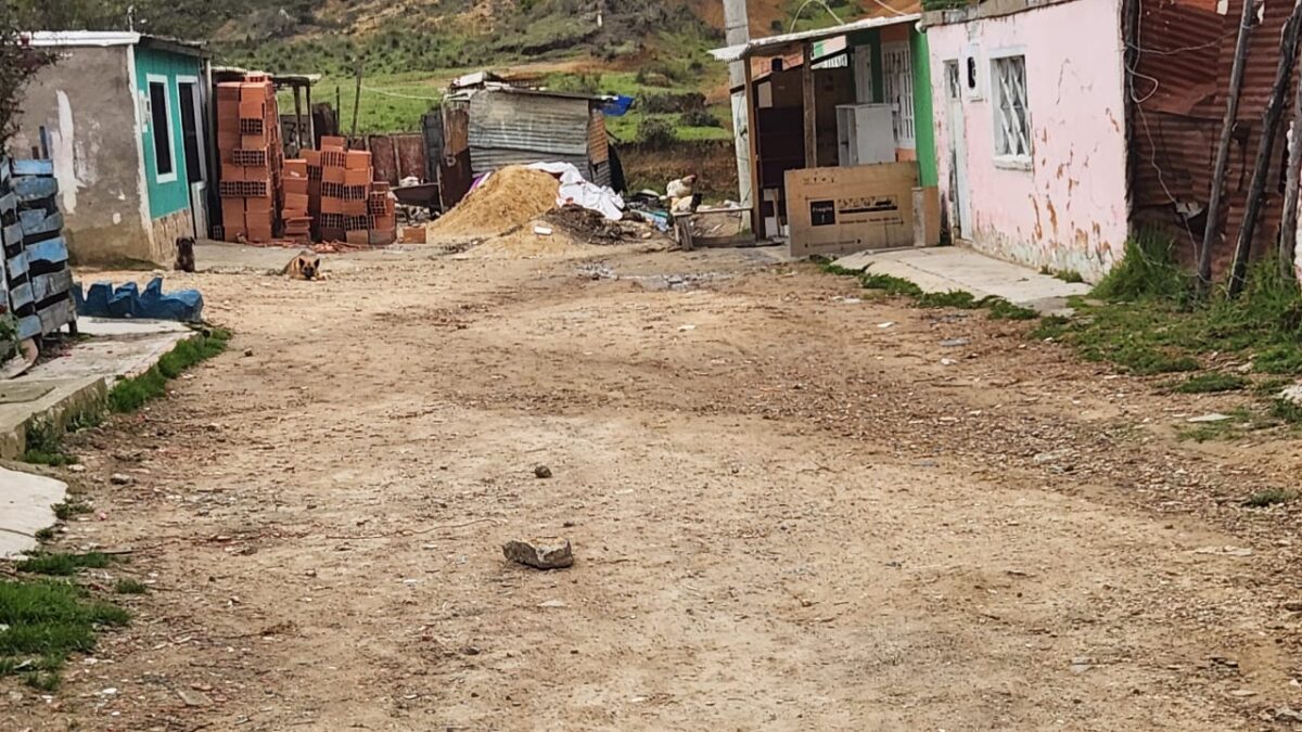 Doble homicidio en Ciudad Bolívar: las víctimas fueron atacadas en plena calle Un sujeto armado acabó con la vida de 2 hombres en la UPZ El Paraíso, en la localidad de Ciudad Bolívar. El contamos los detalles.