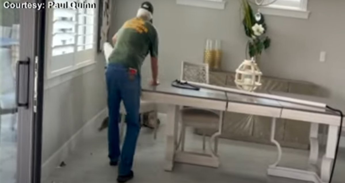 EN VIDEO: Hombre en Estados Unidos encuentra un cocodrilo en la cocina de su casa 1 EN VIDEO: Hombre en Estados Unidos encuentra un cocodrilo en la cocina de su casa Hombre en Florida encontró un cocodrilo de dos metros en su cocina tras dejar la puerta abierta. Lea la nota.