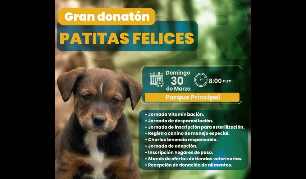 Gran donatón ‘Patitas Felices’: Tabio se une por sus peluditos Gran donatón ‘Patitas Felices’: Tabio se une por sus peluditos