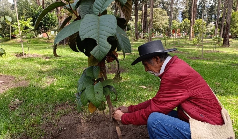 Gran maratón de plantaciones en Bogotá por el Día Internacional de los Bosques Bogotá conmemora el Día Internacional de los Bosques con una jornada masiva de plantación de árboles en varias localidades de la ciudad.