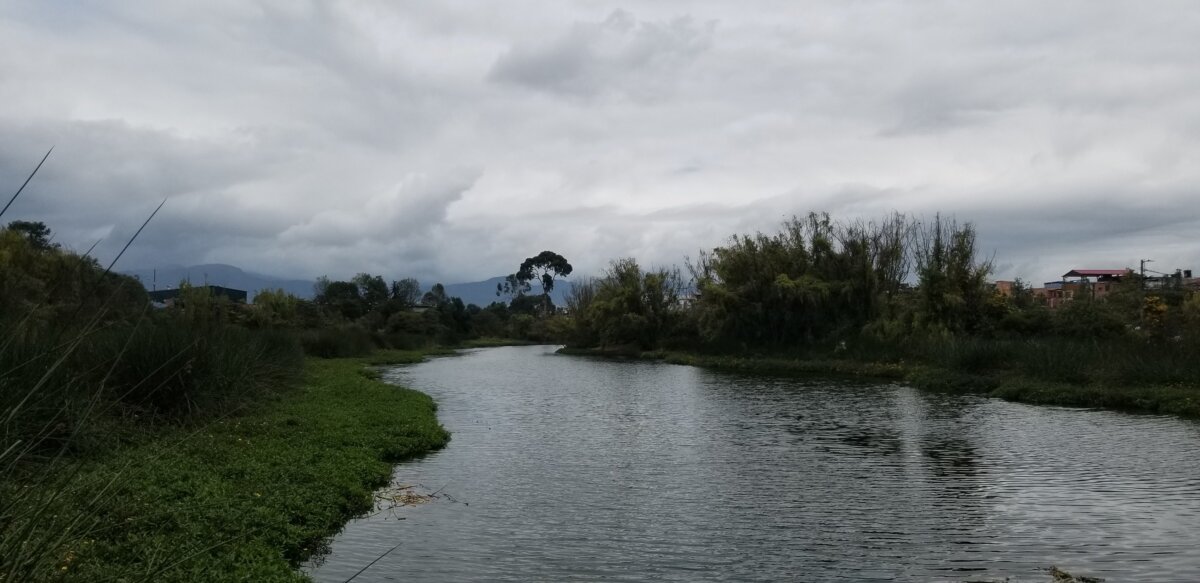 Humedal 'La Vaca' en Kennedy muestra avances en su recuperación con nuevos espejos de agua 1 Humedal 'La Vaca' en Kennedy muestra avances en su recuperación con nuevos espejos de agua El Humedal La Vaca, en Kennedy, avanza en su recuperación tras años de labores de limpieza, retiro de residuos y restauración ambiental.