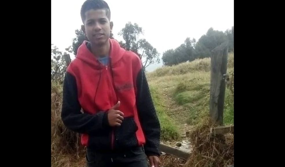 Perros que atacaron a 2 personas en Bosa fueron entregados a las autoridades 2 Perros que atacaron a 2 personas en Bosa fueron entregados a las autoridades Luego de la visita a la zona para identificar a los perros involucrados en los ataques, lograron contactar con la persona que al parecer estaba encargada de su cuidado y le pidieron que los entregara.