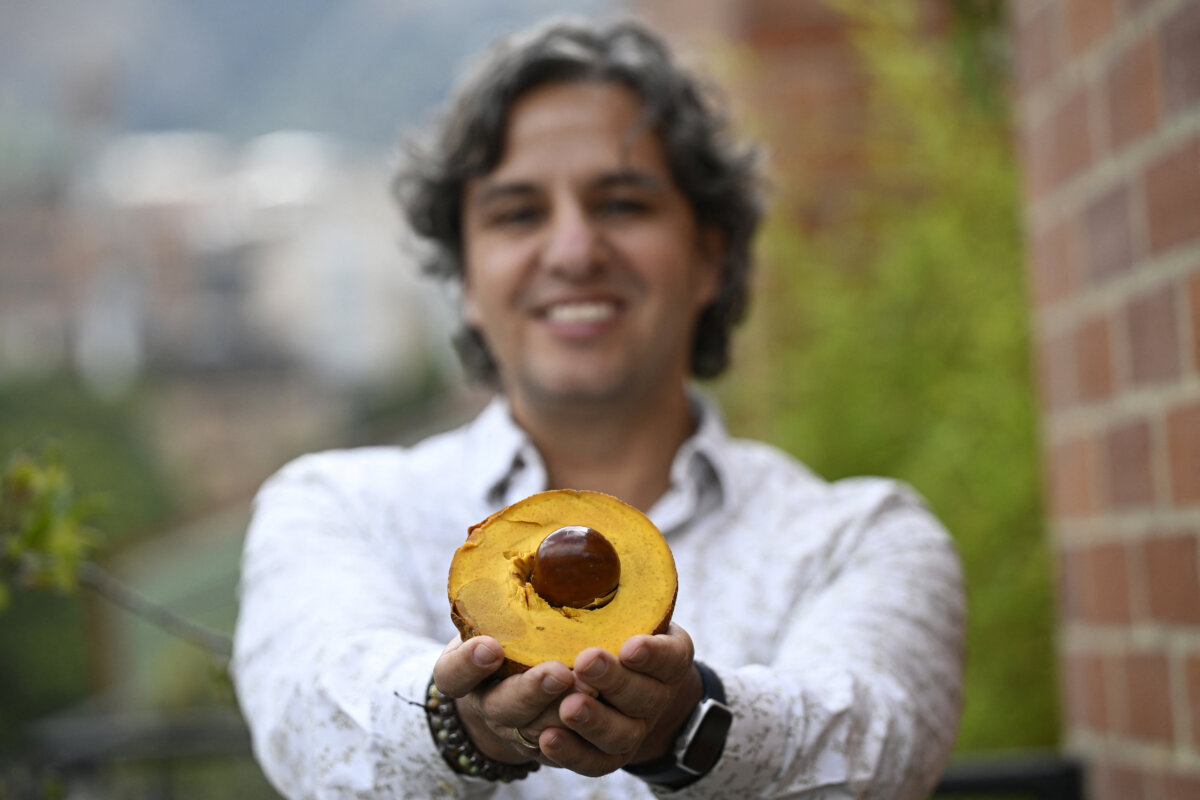 La lucha por salvar las frutas nativas de Colombia en riesgo de extinción 1 La lucha por salvar las frutas nativas de Colombia en riesgo de extinción