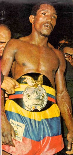 Participante de la Casa de los Famosos 'mató' al boxeador Kid Pambelé 2 Participante de la Casa de los Famosos 'mató' al boxeador Kid Pambelé La familia del excampeón mundial de boxeo, Antonio Cervantes 'Kid Pambelé', salió al paso ante las declaraciones del actor Fernando 'Flaco' Solórzano, participante de la Casa de los Famosos, sobre la supuesta muerte del deportista.