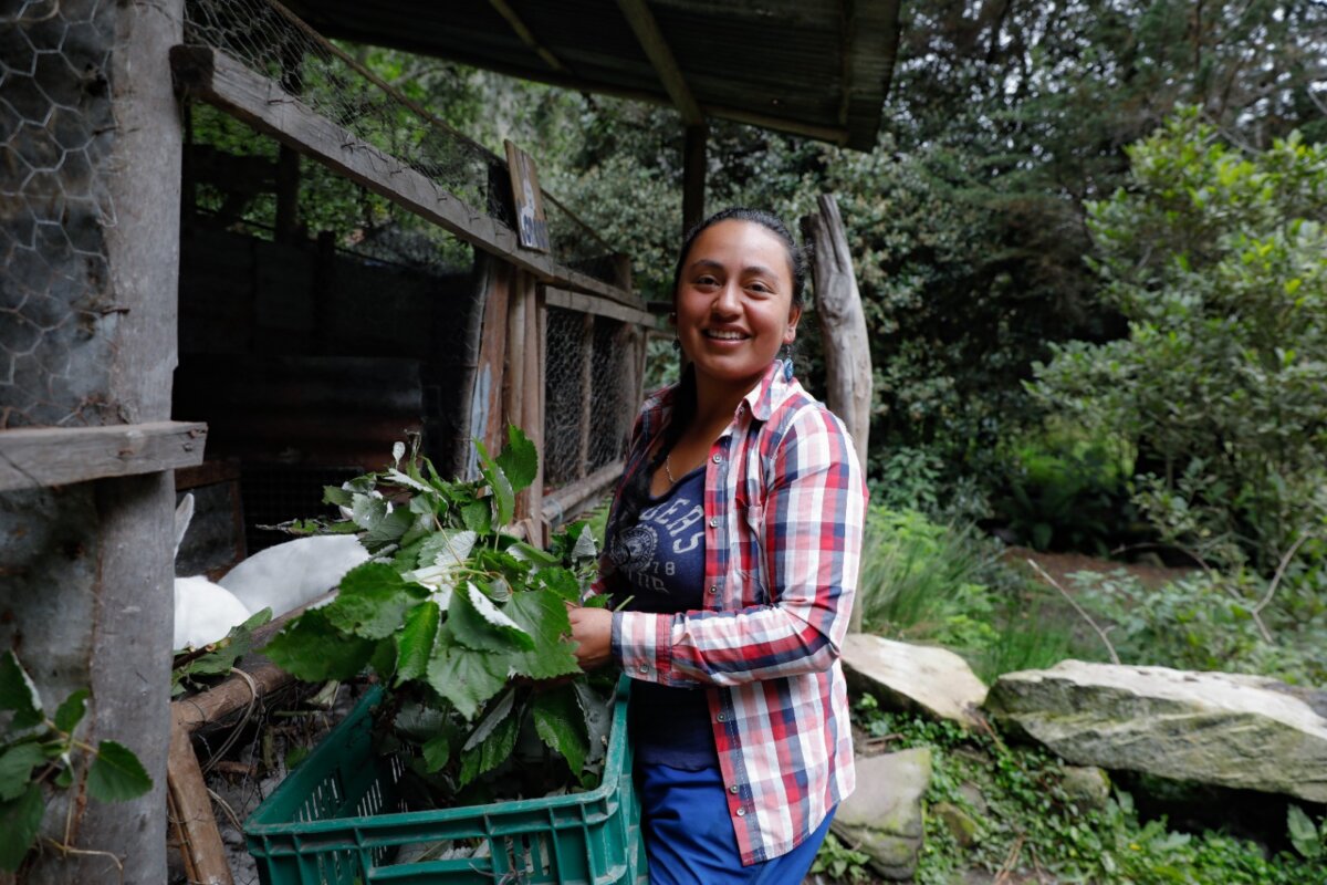 SENA abre convocatoria para certificar habilidades laborales de mujeres en Colombia 3 SENA abre convocatoria para certificar habilidades laborales de mujeres en Colombia SENA abre convocatoria para certificar habilidades laborales de mujeres en Colombia
