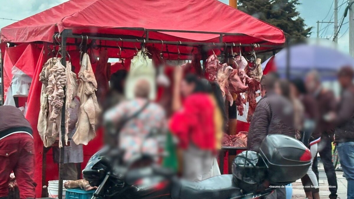 Desmantelan matadero clandestino en Suba: sacrificaban bovinos enfermos 1 Desmantelan matadero clandestino en Suba: sacrificaban bovinos enfermos Según las autoridades, en el matadero eran sacrificados bovinos en mal estado o enfermos, utilizando métodos antitécnicos y sin las mínimas medidas de salubridad.