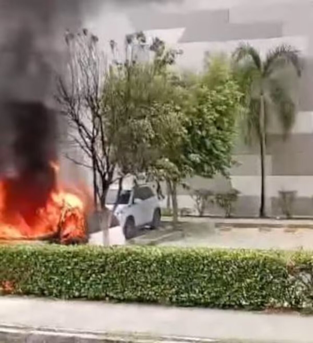 En video: carro fúnebre que se incendió con cadáver a bordo 1 En video: carro fúnebre que se incendió con cadáver a bordo Testigos de los hechos grabaron las maniobras que realizaron para sacar el ataúd con el cuerpo sin vida.