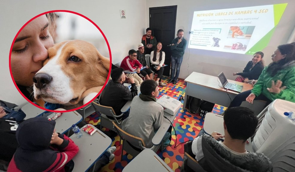 Lanzan nuevo proyecto de protección animal con ayuda de jóvenes del Sistema de Responsabilidad Penal