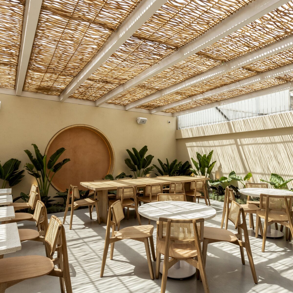 Cafetería colombiana se destaca entre las mejores del mundo y pocos la conocen Cafetería colombiana se destaca entre las mejores del mundo y pocos la conocen