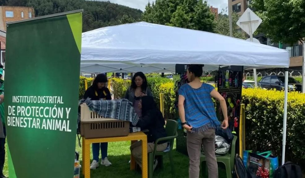 A vivir una Semana Santa responsable con los animales 2 A vivir una Semana Santa responsable con los animales Según el IDPYBA, durante esta época se presentan muchos casos de perros y gatos que son dejados atrás sin alimento ni cuidado.