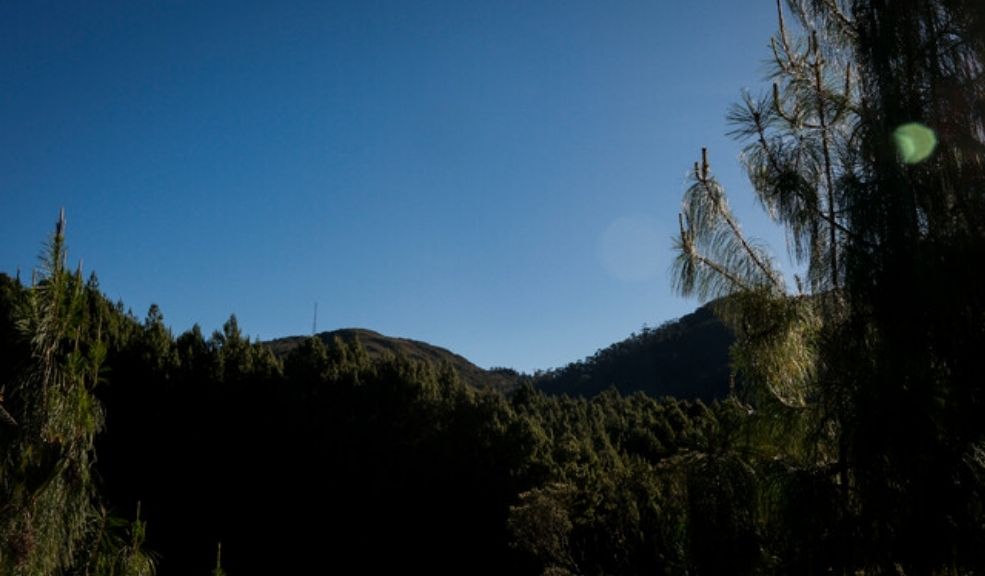Bogota-celebra-el-Dia-de-la-Tierra-restaurando-los-Cerros-orientales