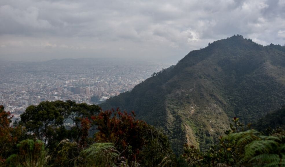Bogotá celebra el Día de la Tierra restaurando más de 1.300 hectáreas en los Cerros Orientales 3 Bogota-celebra-el-Dia-de-la-Tierra-restaurando-los-Cerros-orientales