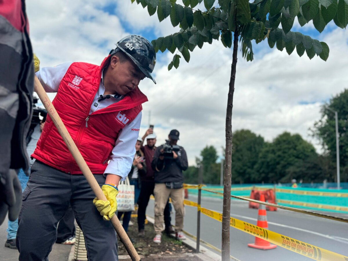 Bogotá siembra 4.000 árboles en los Cerros Orientales por el Día del Árbol 1 arboles