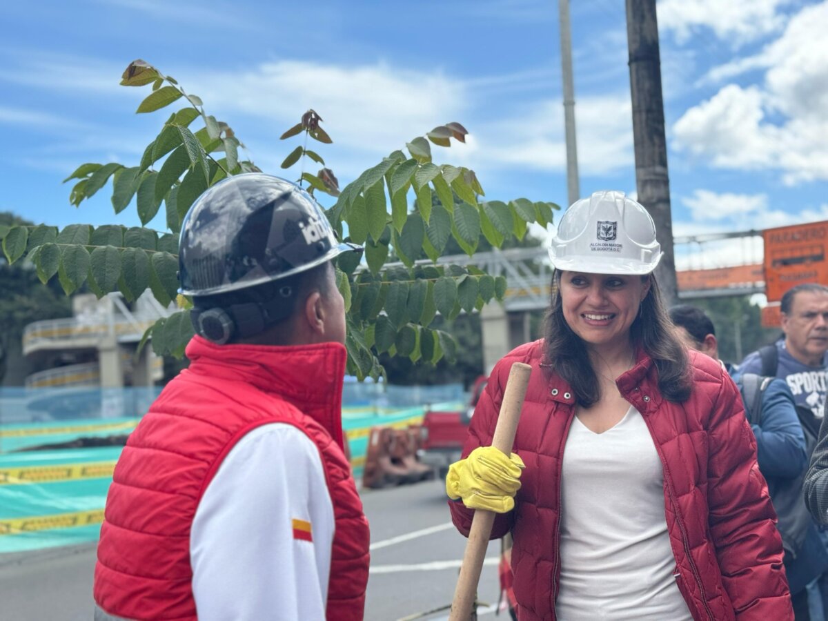 Bogotá siembra 4.000 árboles en los Cerros Orientales por el Día del Árbol 2 Bogotá siembra 4.000 árboles en los Cerros Orientales por el Día del Árbol En total, se sembraron 4.000 nuevos árboles de 26 especies nativas, como parte de los esfuerzos del Distrito por recuperar áreas afectadas por incendios forestales y por fortalecer los procesos de conservación de la biodiversidad urbana.