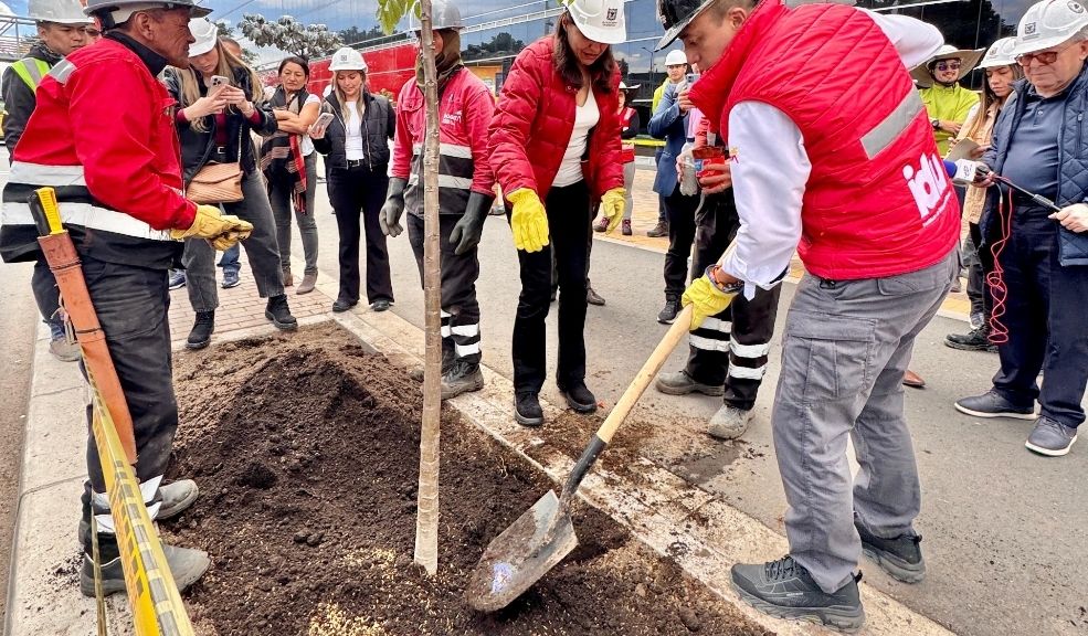 Bogotá siembra 4.000 árboles en los Cerros Orientales por el Día del Árbol 3 Bogotá siembra 4.000 árboles en los Cerros Orientales por el Día del Árbol En total, se sembraron 4.000 nuevos árboles de 26 especies nativas, como parte de los esfuerzos del Distrito por recuperar áreas afectadas por incendios forestales y por fortalecer los procesos de conservación de la biodiversidad urbana.