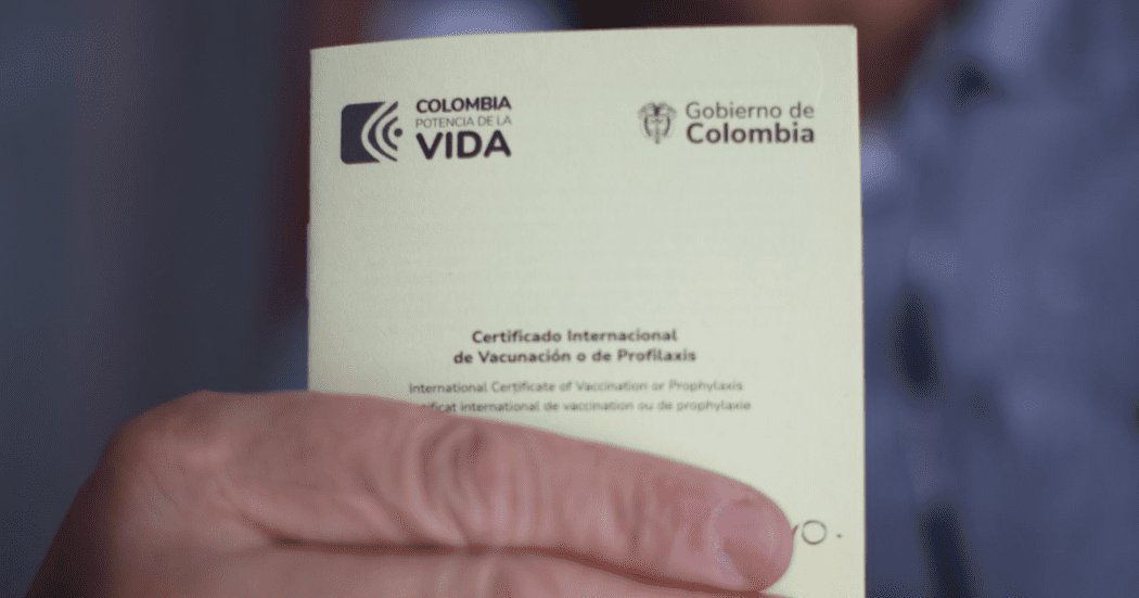 ¿Se vacunó contra la fiebre amarilla pero perdió el carné? Lo puede descargar por internet 1 ¿Se vacunó contra la fiebre amarilla pero perdió el carné? Lo puede descargar por internet El Gobierno Nacional tiene a disposición una plataforma virtual donde se puede descargar el certificado de vacunación contra la fiebre amarilla en caso de pérdida. A continuación, le contamos los pasos.