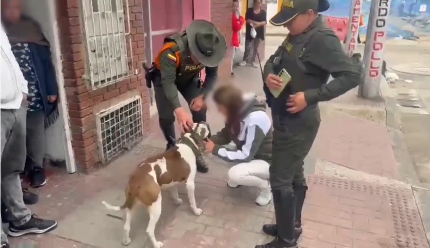Capturan a dueño de pitbull por usarlo para atacar a policía Un hombre en Tunjuelito fue capturado por ordenar a su perro pitbull atacar a un policía que atendía una riña en la zona.
